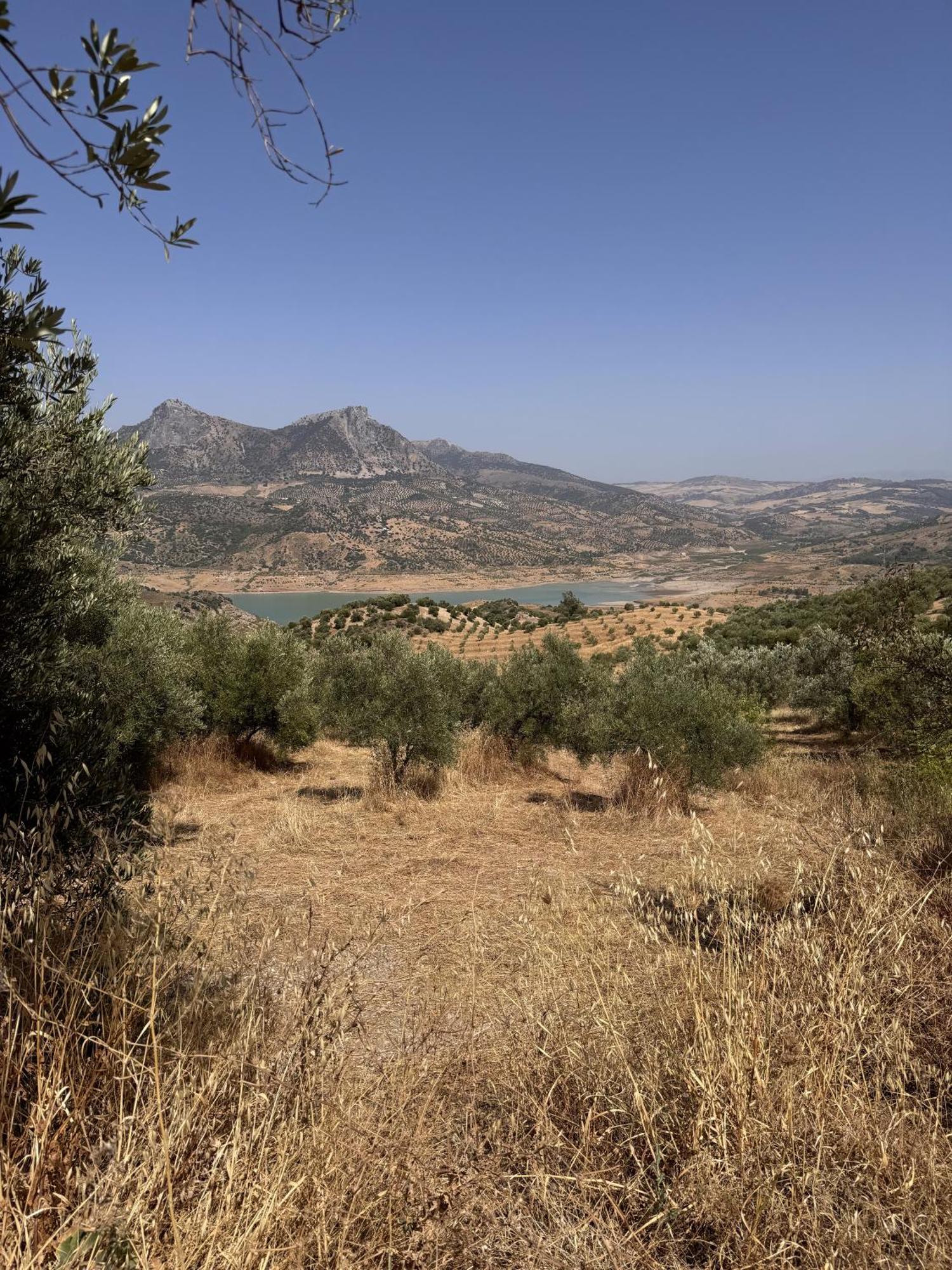 Finca Luca Oliva Zahara De La Sierra Dış mekan fotoğraf